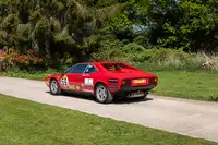 1978 Ferrari Dino 308 GT4 Competition Car-Sold