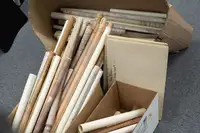 Austin Rover Ltd. Company Name, Registration Number, Email A-For Sale