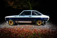 1979 Ford Escort RS1800 FIA Group 4 Tarmac Rally Car-For Sale