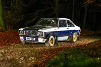 1979 Ford Escort RS1800 FIA Group 4 Tarmac Rally Car-For Sale