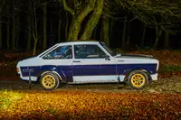 1979 Ford Escort RS1800 FIA Group 4 Tarmac Rally Car-For Sale