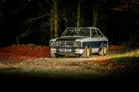 1979 Ford Escort RS1800 FIA Group 4 Tarmac Rally Car-For Sale