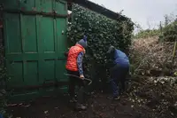 1969 Jensen Mk1 FF - singular ownership / barn-find-For Sale