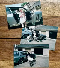 1969 Jensen Mk1 FF - singular ownership / barn-find-For Sale