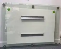 Senna Victorious: Large Photographic Image of Ayrton's 1985 -For Sale