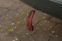 1969 Triumph TR6 2.5 PI Historic Race Car-For Sale