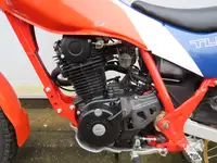 1984 Honda TLR200 195cc-For Sale