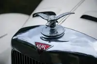 1952 Alvis TC21/100 'Grey Lady' Drophead Coupé-For Sale