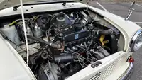 1981 Leyland Mini Van 95L -Sold
