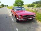 1966 Ford Mustang Notchback-Sold