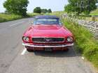 1966 Ford Mustang Notchback-Sold