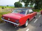 1966 Ford Mustang Notchback-Sold