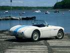 1955 Austin Healey 100/4 BN1-Auction Lot