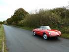 1967 Alfa Romeo Spider 1600 Duetto -Sold