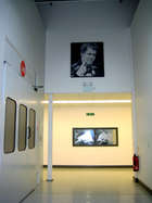 Seb Vettel by Dots-Auction Lot