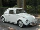 1967 Volkswagen Beetle-Sold