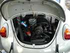 1967 Volkswagen Beetle-Sold