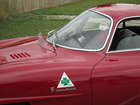 1965 Alfa Romeo Giulia SS-Sold