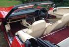1989 Jaguar XJS Convertible-Sold