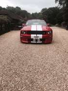 2008 Ford Mustang Shelby GT500-Sold