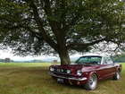 1966 Ford Mustang Convertible-Sold