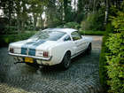 1966 Shelby GT-350-Sold