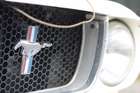 1966 FIA Ford Mustang Race Car-Auction Lot