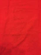 1975 British Grand Prix Marshals Red Flag Signed by 12 drive-Sold