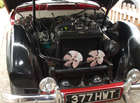 1960 Jensen 541S -Sold