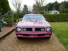 1975 Pontiac Firebird Trans Am-Sold