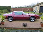1975 Pontiac Firebird Trans Am-Sold
