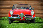 1964 Alfa Romeo Giulia Spider 1600-Sold