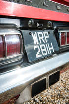 1969 Ford Shelby Mustang GT350-Auction Lot