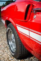 1969 Ford Shelby Mustang GT350-Auction Lot
