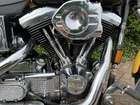 1995 Harley Davidson FXDWG Wide Glide-Sold