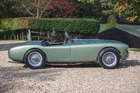 1955 AC Ace (Bristol)-Sold