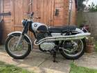 1967 Honda CL77 Scrambler 305cc-Sold