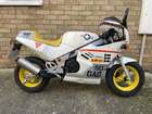 1986 Suzuki RB50 