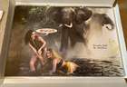 Charity Lot: A selection of Pirelli Calendars-Sold