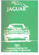 1982 Jaguar TWR XJS FIA Touring Car to 'Group A' specificati-Auction Lot