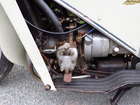 1955 Velocette LE 200cc-Sold