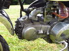 1979 Honda Z50J Gorilla 49cc-Sold