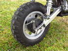 1979 Honda Z50J Gorilla 49cc-Sold