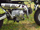 1979 Honda Z50J Gorilla 49cc-Sold