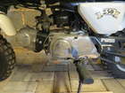 1992 Honda Z50J Gorilla 49cc-Auction Lot