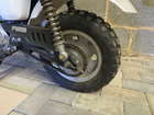 1992 Honda Z50J Gorilla 49cc-Auction Lot