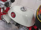 1967 Honda Z50M Monkey Bike 49cc-Auction Lot