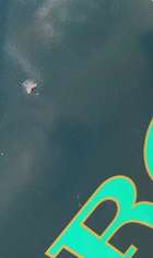 A Rare 'Rolex' Enamelled Tin-Plate Advertising Sign -Sold