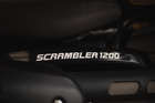 2020 Triumph Bond Edition 1200 XS Scrambler 130/250 1,200cc-Sold