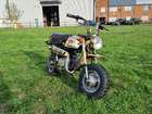 1984 Honda Z50 Gold Edition Monkey Bike 49cc-Sold